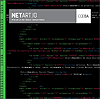 net art